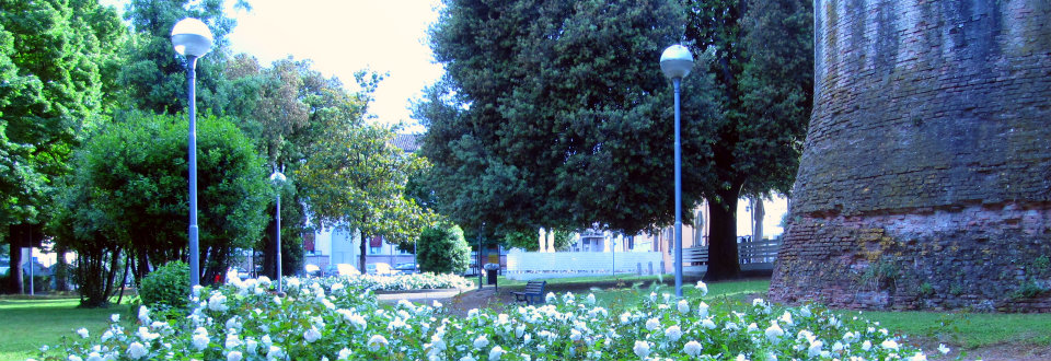 Manutenzione del verde